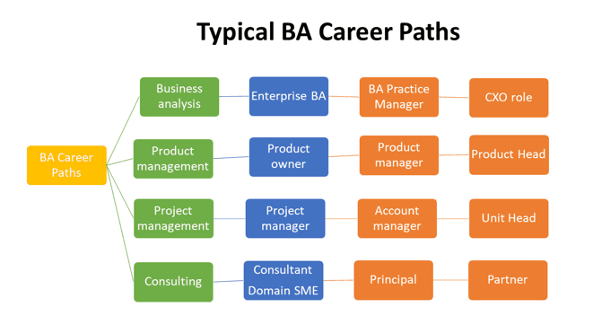 Business Analyst Career Paths